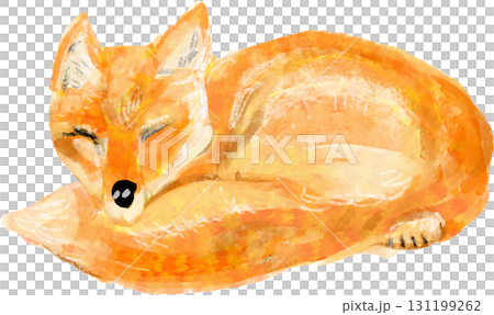 Hokkaido red fox illustration Hokkaido red fox illustration 131199262