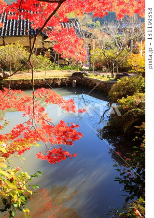 大国寺紅葉 131199358