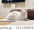 リラックス中の白猫 131199859