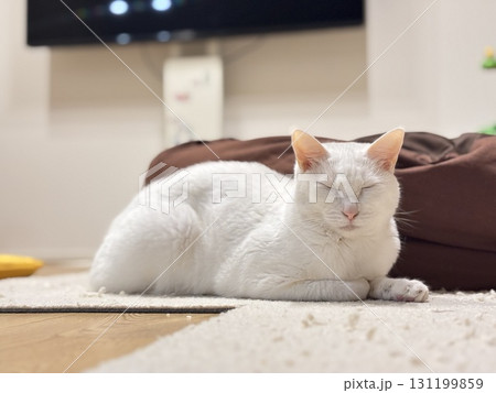 リラックス中の白猫 131199859