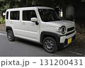 軽自動車 131200431