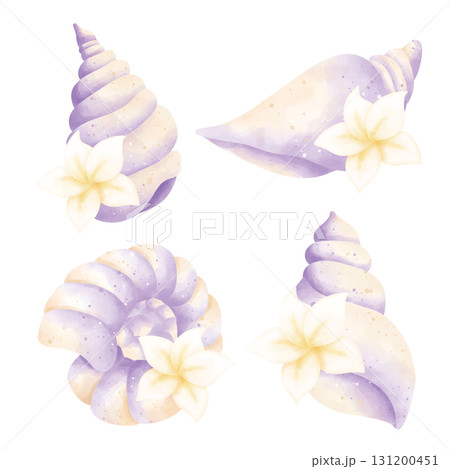 watercolor set of sea shells 131200451