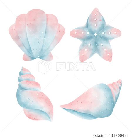 watercolor set of sea shells 131200455
