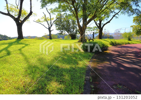 公園　小道　芝生　樹木　青空 131201052