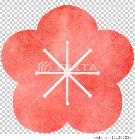 水彩風の梅の花のイラスト 131201086
