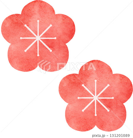 水彩風の梅の花のイラスト 131201089