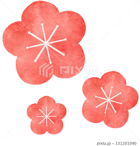 水彩風の梅の花のイラスト 131201090
