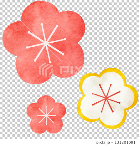 水彩風の梅の花のイラスト 131201091