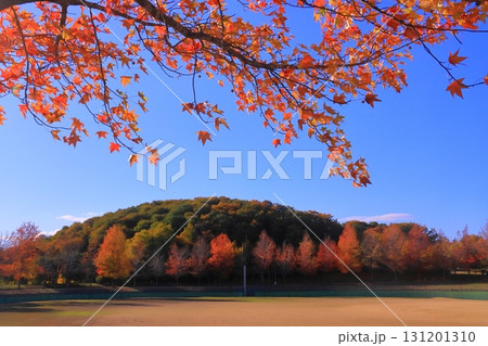 三田谷公園（兵庫県三田市）の紅葉 131201310
