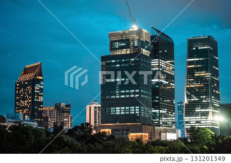 illuminated modern skyscrapers of Bangkok against night park, vibrant cityscape skyline blending with serene evening glow, harmony of contemporary city and nature 131201349