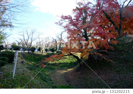 愛知県新城市_長篠城内堀3_2024年12月 131202215