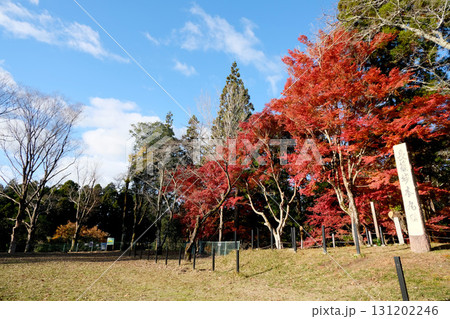 愛知県新城市_長篠城址5_2024年12月 131202246