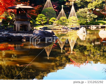 晩秋の旧古河庭園心字池の灯籠と雪吊りのある風景 131202292