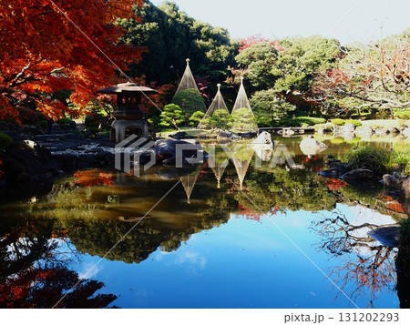 晩秋の旧古河庭園心字池の灯籠と雪吊りのある風景 131202293
