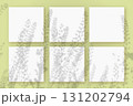 Natural light casts shadows from the field grass on 6 square sheets of white paper lying on a green background. Mockup 131202794