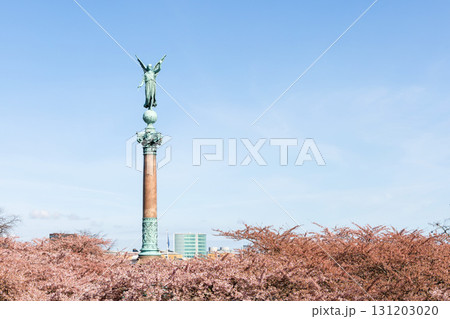 Cherry Blossom in Langelinie park on a beautiful spring day. Sakura festival in Copenhagen 131203020