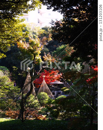 晩秋の紅葉に染まる旧古河庭園の風景 晩秋の紅葉に染まる旧古河庭園の風景 131203106