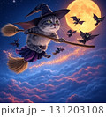 ハロウィンの夜に空飛ぶ猫 131203108