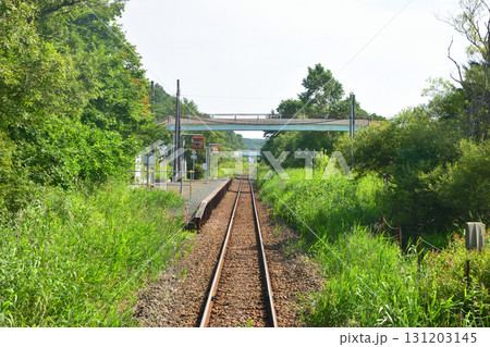 JR北海道、釧網本線釧路駅と釧路湿原駅間の風景(2023年夏) 131203145