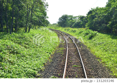 JR北海道、釧網本線釧路駅と釧路湿原駅間の風景(2023年夏) 131203146
