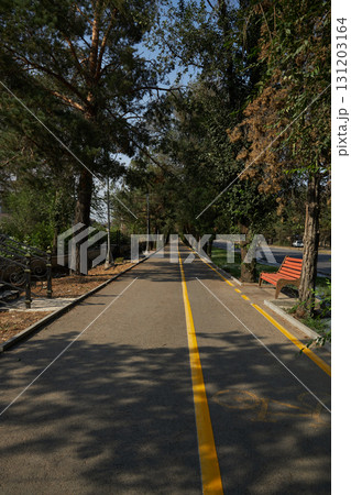 A bench for rest next to pedestrian asphalt path with a dedicated bicycle lane with yellow markings A bench for rest next to pedestrian asphalt path with a dedicated bicycle lane with yellow markings 131203164