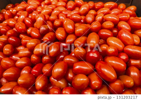 Vibrant cherry tomatoes harvested at a sunny farm in summer afternoon light Vibrant cherry tomatoes harvested at a sunny farm in summer afternoon light 131203217