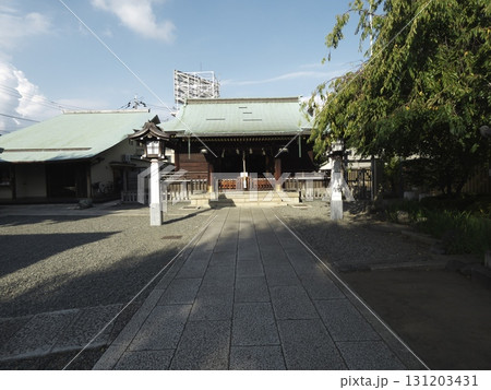 清々しい青空の下、神社の参道に差し込む光 131203431