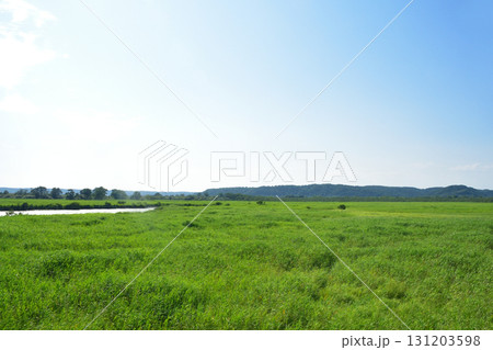 JR北海道、釧網本線釧路湿原駅と茅沼駅間の風景(2023年夏) 131203598
