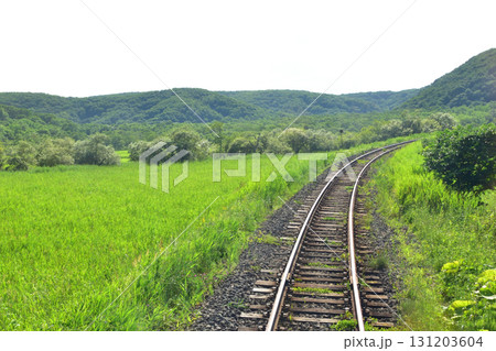JR北海道、釧網本線釧路湿原駅と茅沼駅間の風景(2023年夏) JR北海道、釧網本線釧路湿原駅と茅沼駅間の風景(2023年夏) 131203604