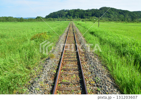 JR北海道、釧網本線釧路湿原駅と茅沼駅間の風景(2023年夏) JR北海道、釧網本線釧路湿原駅と茅沼駅間の風景(2023年夏) 131203607