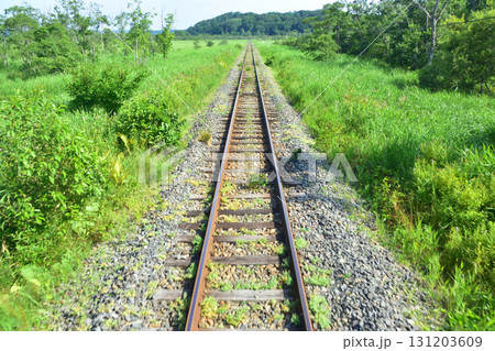 JR北海道、釧網本線釧路湿原駅と茅沼駅間の風景(2023年夏) 131203609