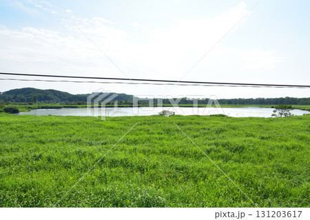 JR北海道、釧網本線釧路湿原駅と茅沼駅間の風景(2023年夏) JR北海道、釧網本線釧路湿原駅と茅沼駅間の風景(2023年夏) 131203617