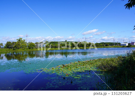 ヘラブナ広場の奥の方の沼を見て（岩見沢市北村・北村中央公園） 131203627