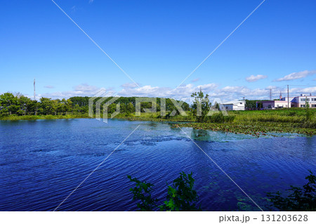 ヘラブナ広場の奥の方の沼を見て（岩見沢市北村・北村中央公園） 131203628