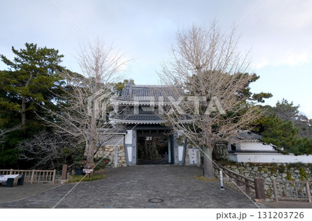 愛知県田原市_田原城桜門2_2024年12月 愛知県田原市_田原城桜門2_2024年12月 131203726