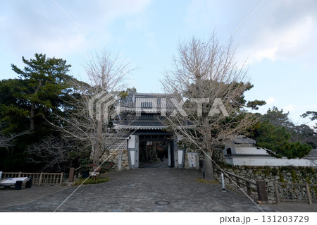 愛知県田原市_田原城桜門5_2024年12月 131203729