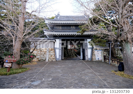 愛知県田原市_田原城桜門6_2024年12月 131203730