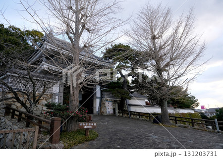 愛知県田原市_田原城桜門7_2024年12月 愛知県田原市_田原城桜門7_2024年12月 131203731