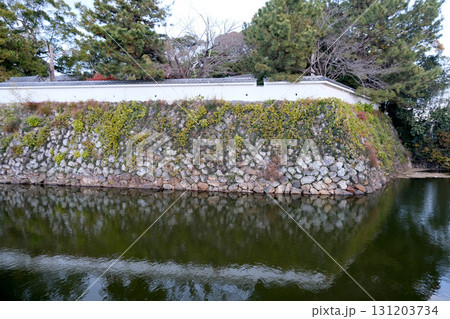 愛知県田原市_田原城跡2_2024年12月 愛知県田原市_田原城跡2_2024年12月 131203734