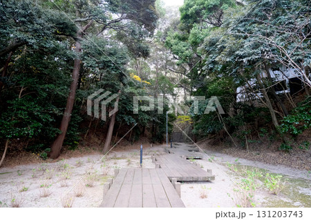 愛知県田原市_田原城跡11_2024年12月 131203743