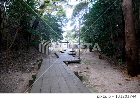 愛知県田原市_田原城跡12_2024年12月 131203744