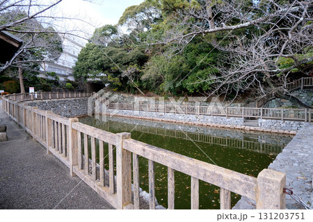 愛知県田原市_田原城跡19_2024年12月 131203751