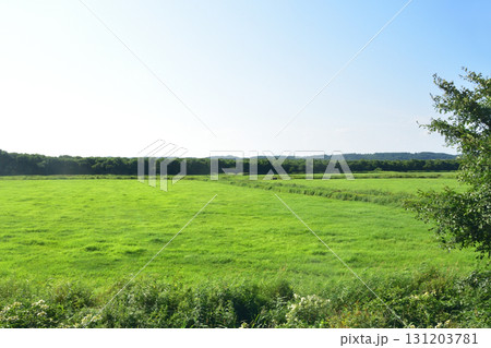 JR北海道、釧網本線茅沼駅と磯分内駅間の風景(2023年夏) JR北海道、釧網本線茅沼駅と磯分内駅間の風景(2023年夏) 131203781