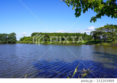 ヘラブナ広場の奥の方の沼を見て（岩見沢市北村・北村中央公園） 131203969