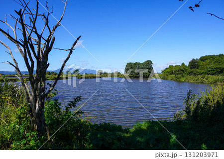 ヘラブナ広場の奥の方の沼を見て(岩見沢市北村・北村中央公園) ヘラブナ広場の奥の方の沼を見て(岩見沢市北村・北村中央公園) 131203971