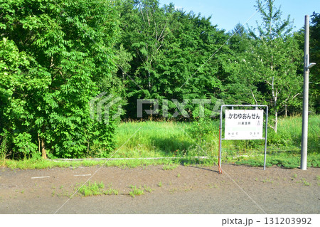 JR北海道、釧網本線磯分内駅と川湯温泉駅間の風景(2023年夏) JR北海道、釧網本線磯分内駅と川湯温泉駅間の風景(2023年夏) 131203992