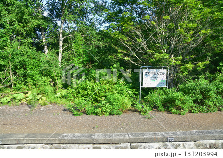 JR北海道、釧網本線磯分内駅と川湯温泉駅間の風景(2023年夏) 131203994