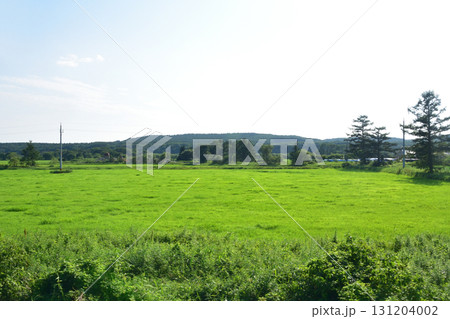 JR北海道、釧網本線磯分内駅と川湯温泉駅間の風景(2023年夏) JR北海道、釧網本線磯分内駅と川湯温泉駅間の風景(2023年夏) 131204002