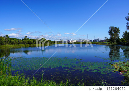 ヘラブナ広場の奥の方の沼を見て（岩見沢市北村・北村中央公園） 131204032