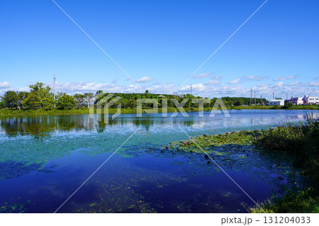 ヘラブナ広場の奥の方の沼を見て(岩見沢市北村・北村中央公園) ヘラブナ広場の奥の方の沼を見て(岩見沢市北村・北村中央公園) 131204033